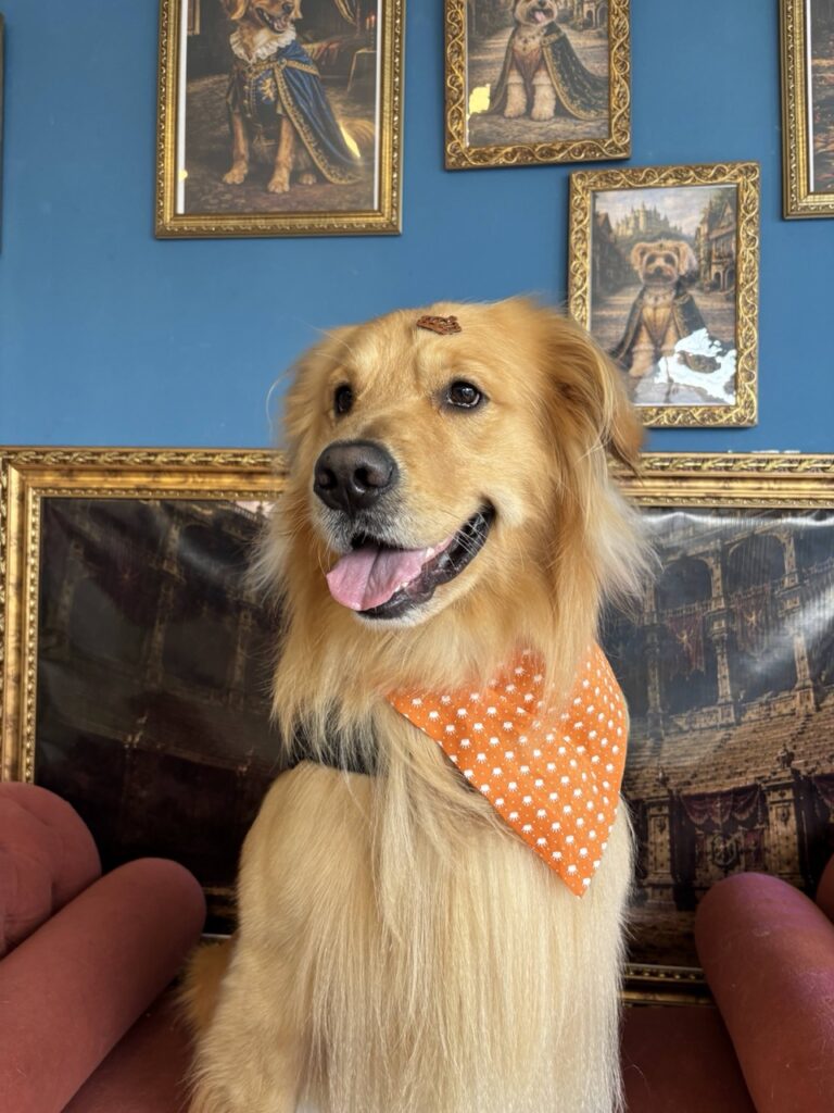Foto de capa