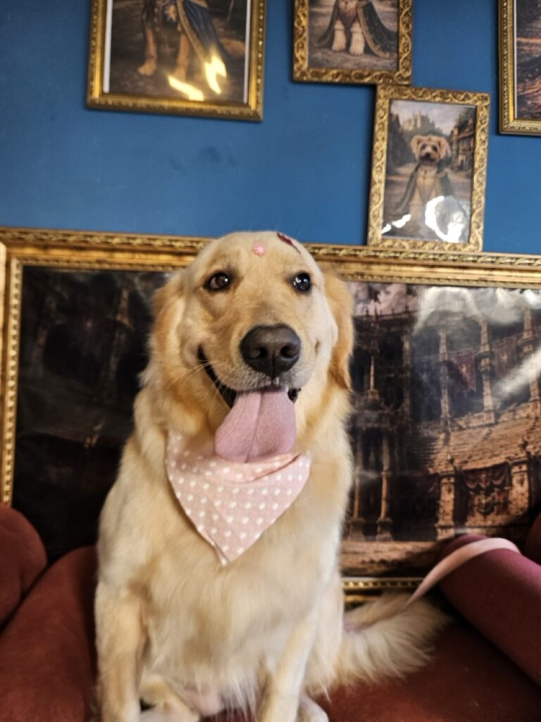 Foto de capa