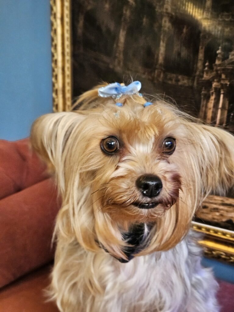 Foto de capa