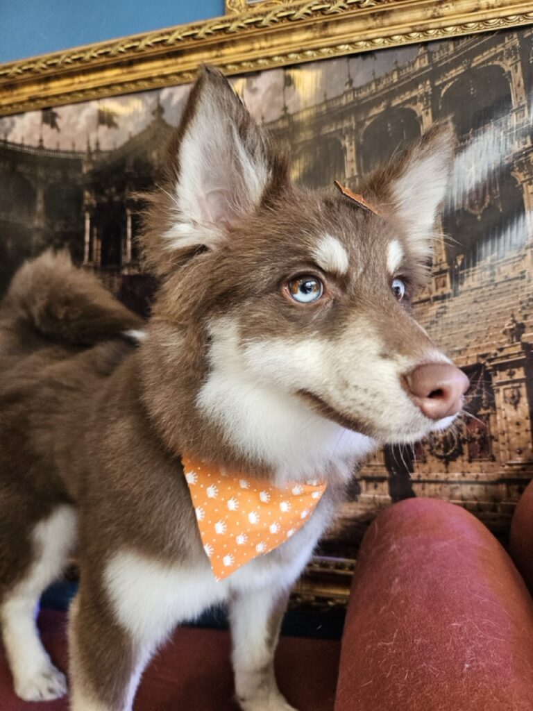 Foto de capa