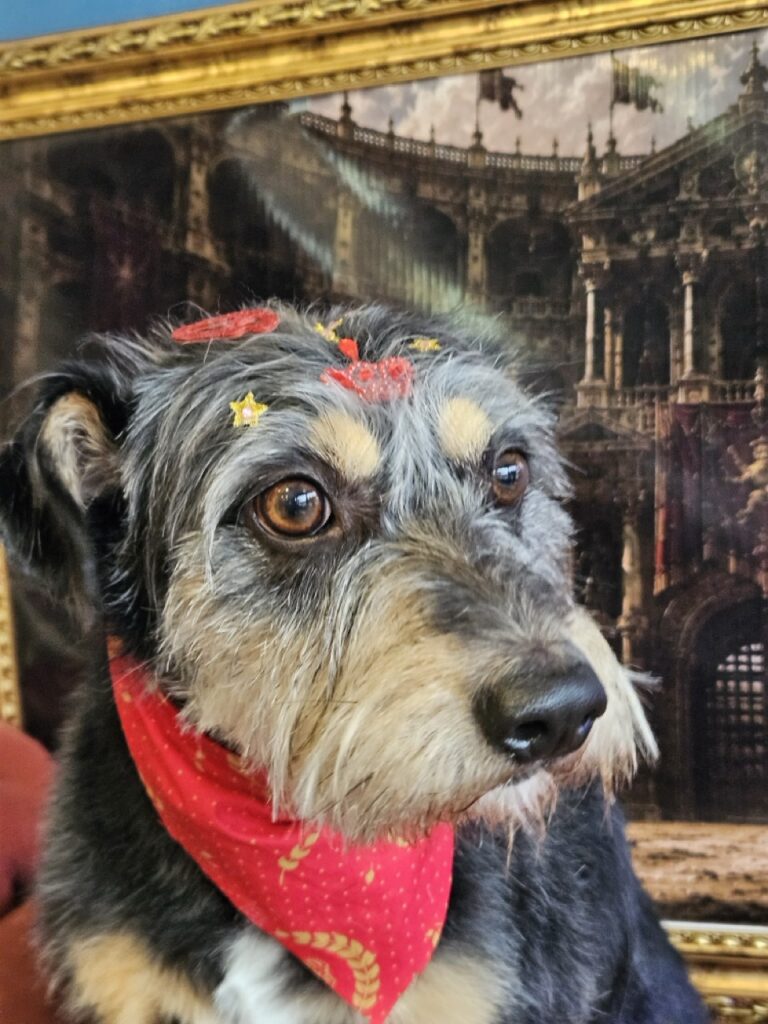 Foto de capa