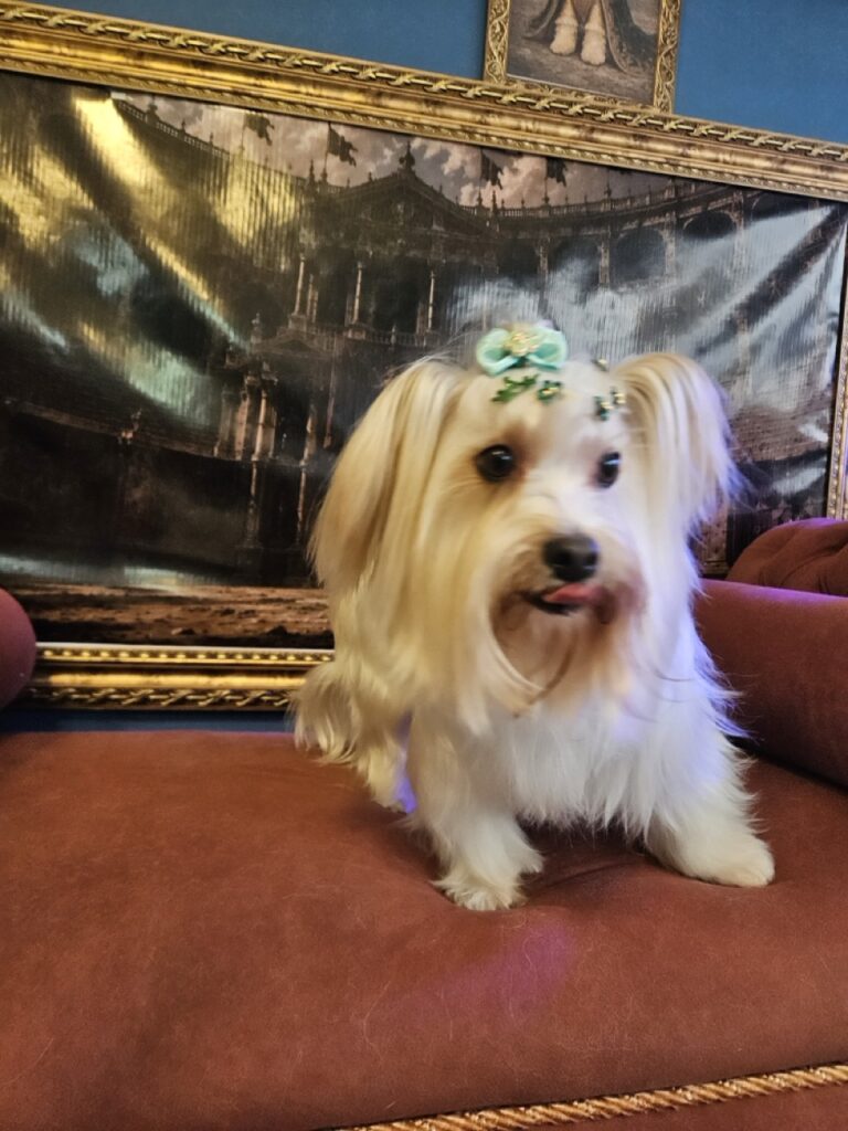 Foto de capa
