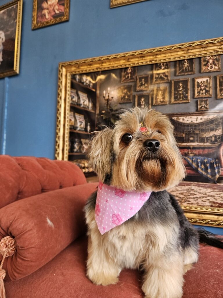 Foto de capa
