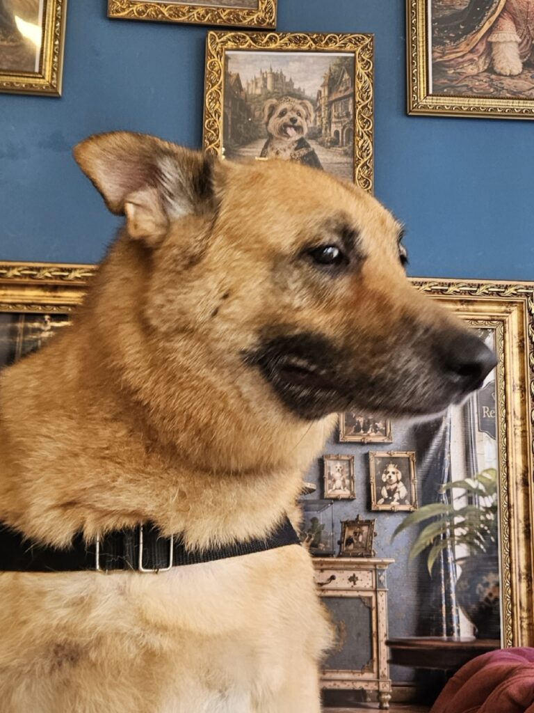 Foto de capa