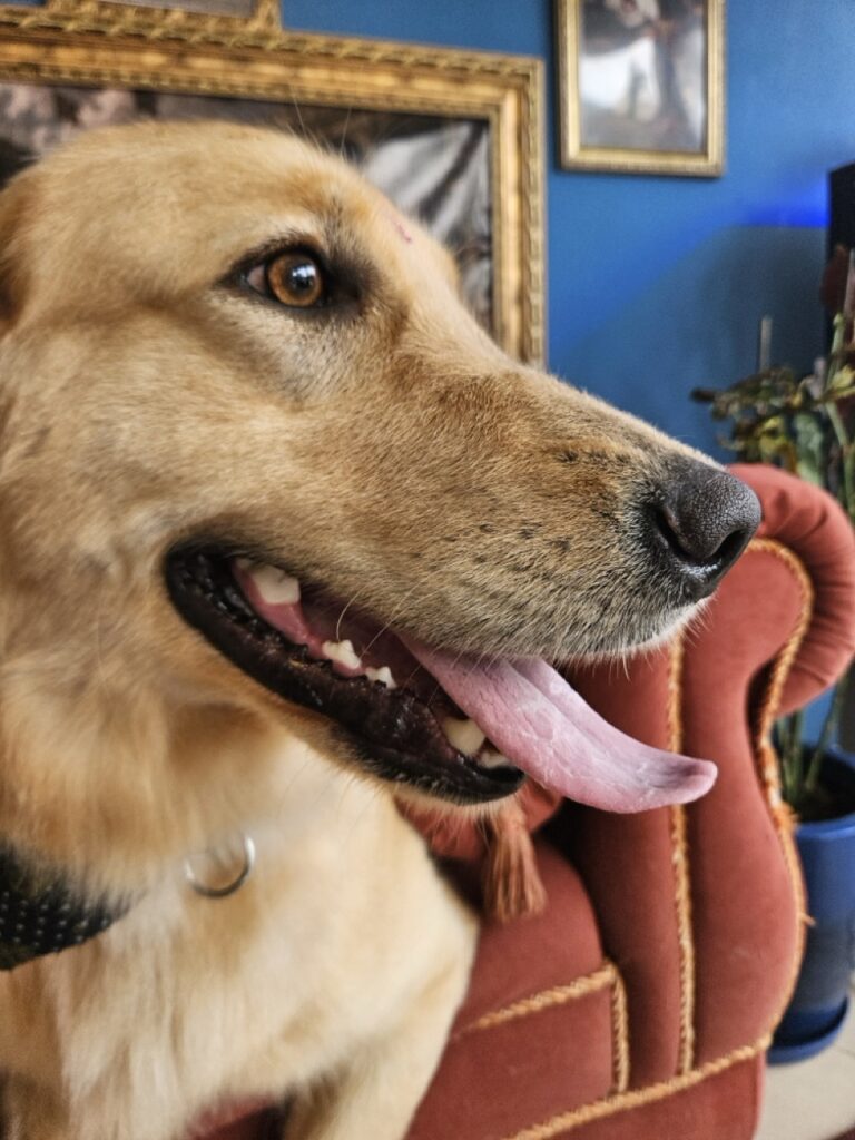 Foto de capa