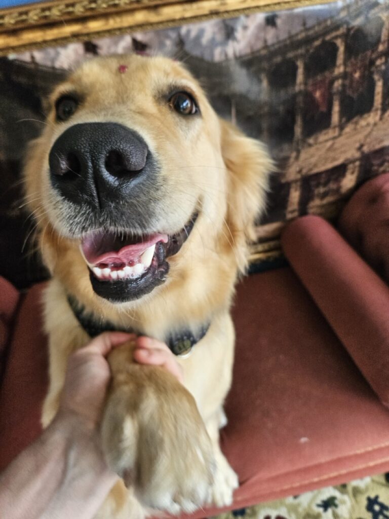 Foto de capa