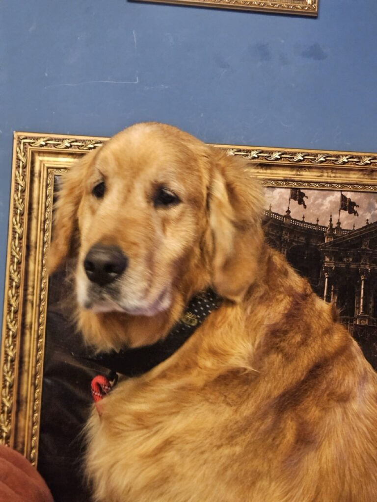 Foto de capa