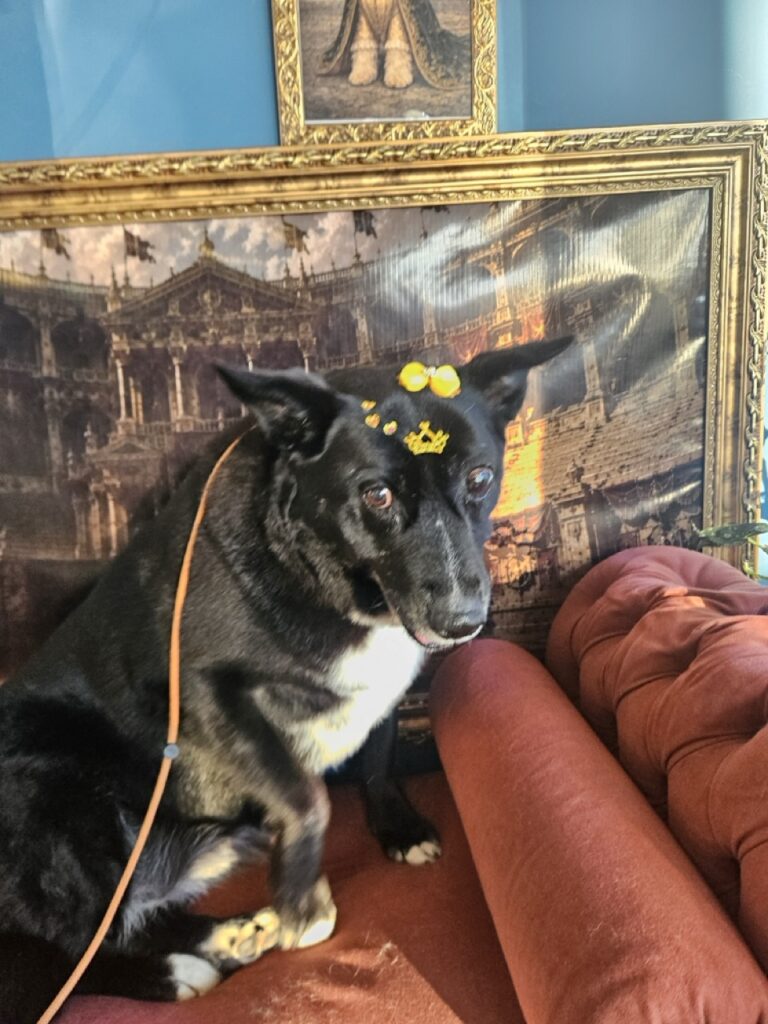 Foto de capa