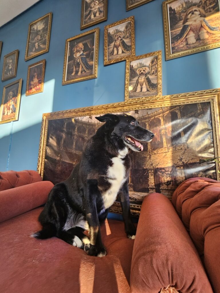 Foto de capa
