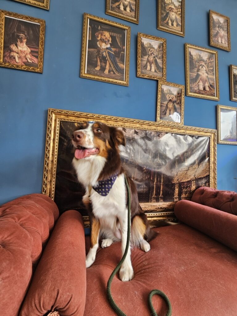 Foto de capa