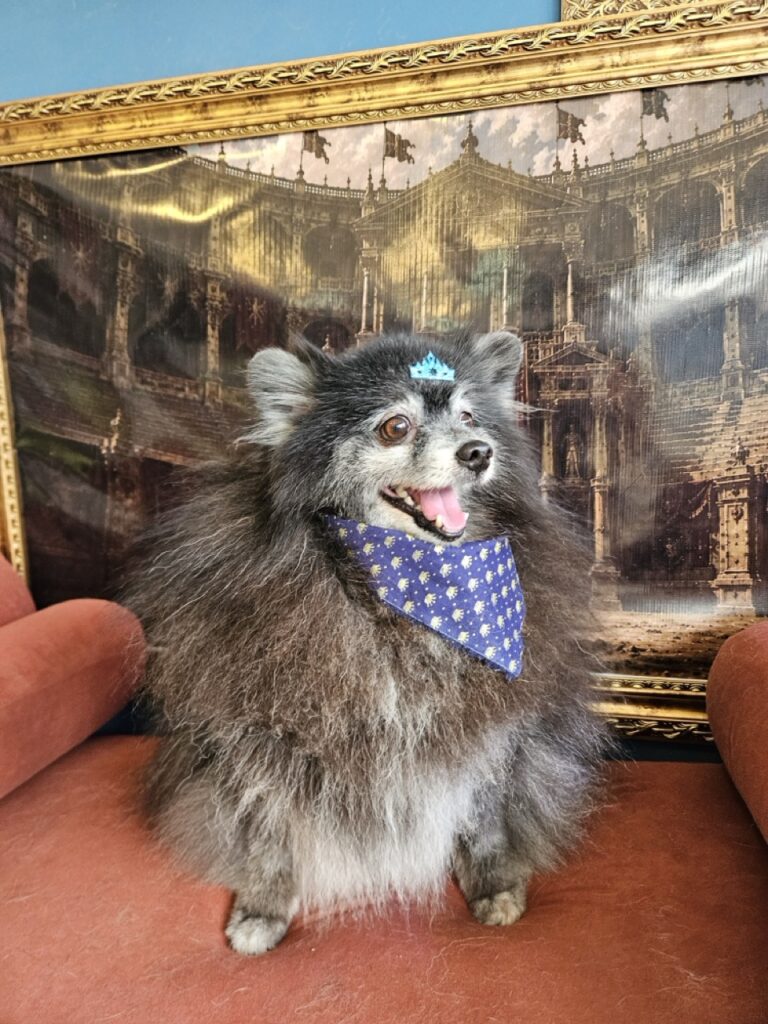 Foto de capa