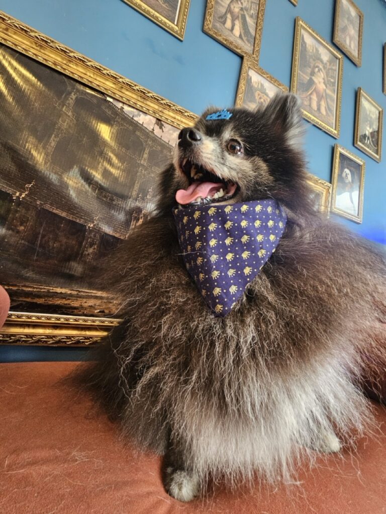 Foto de capa