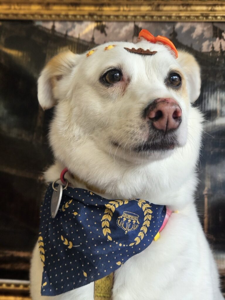 Foto de capa