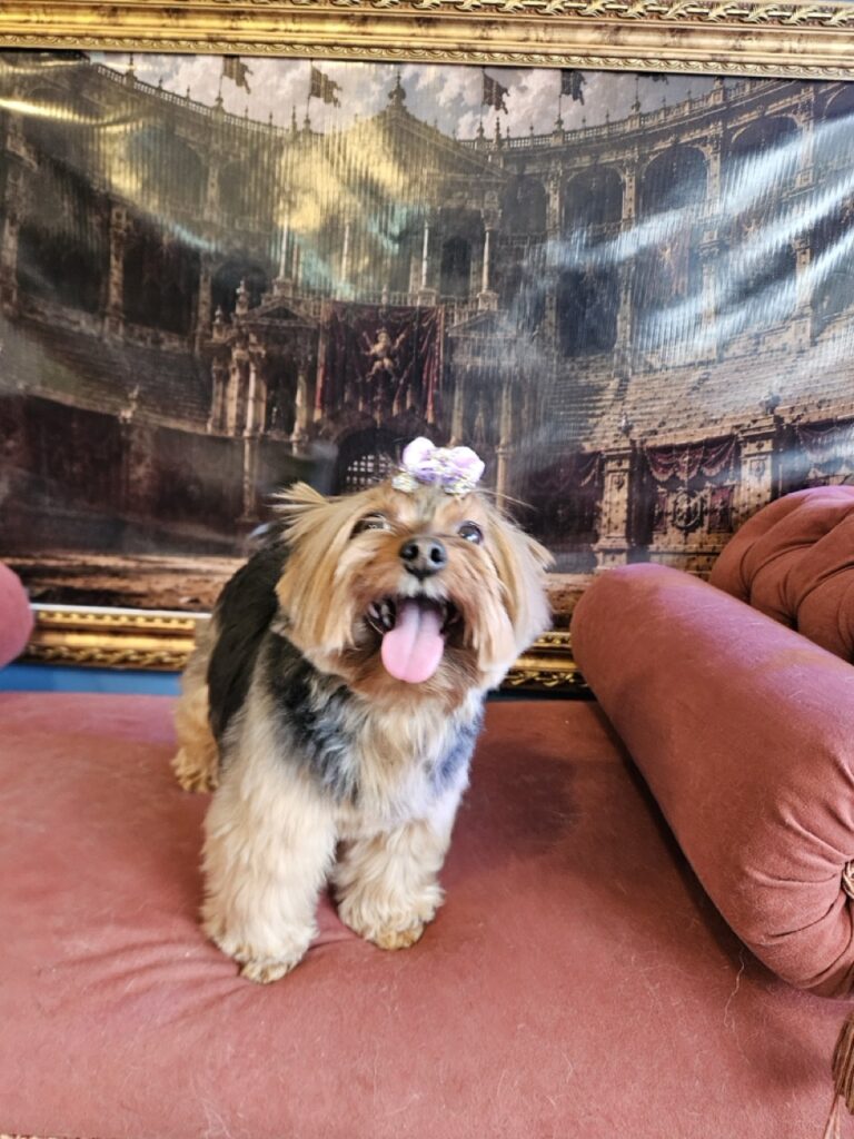 Foto de capa