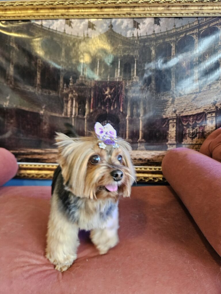 Foto de capa