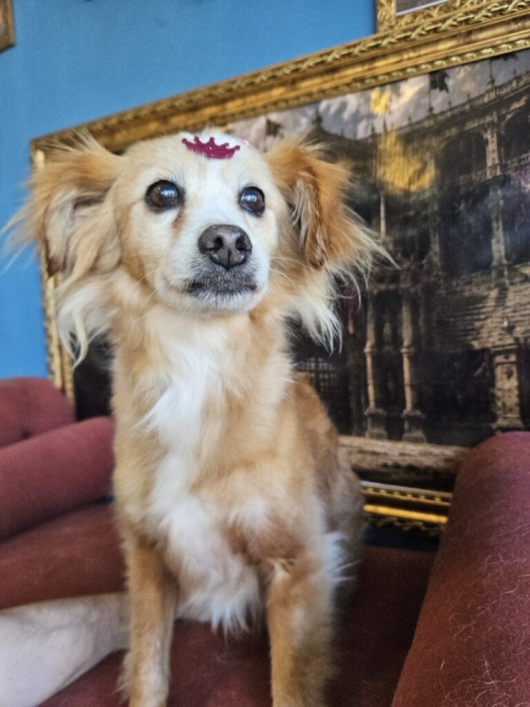 Foto de capa