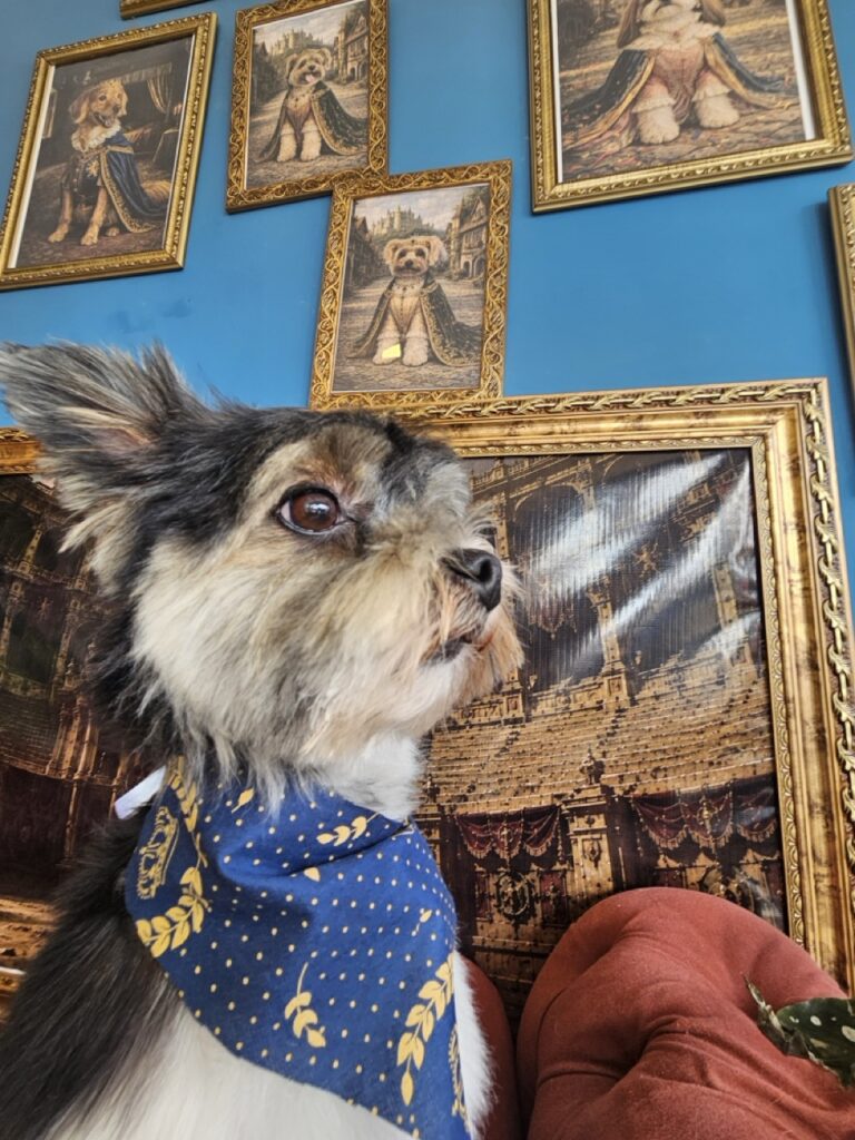 Foto de capa