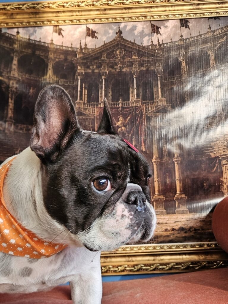 Margarete na Realeza Pets, foto 7