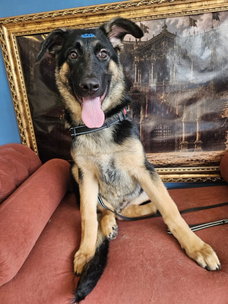 Foto de capa