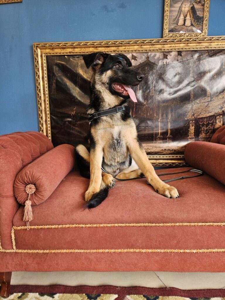 Foto de capa