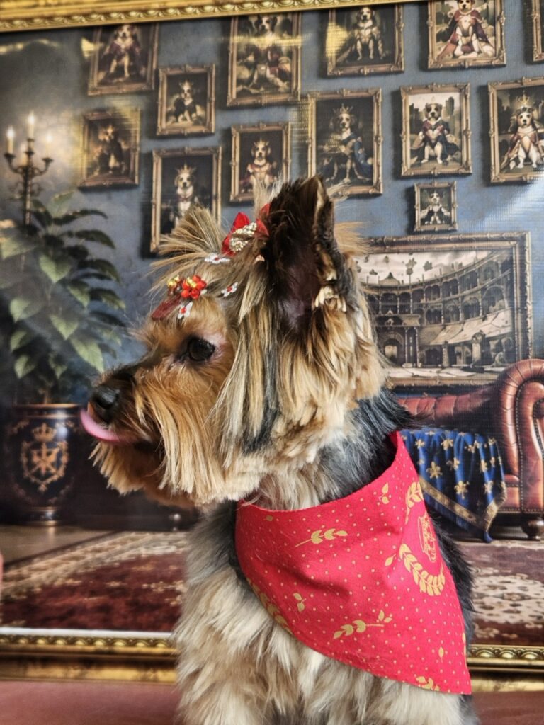 Foto de capa