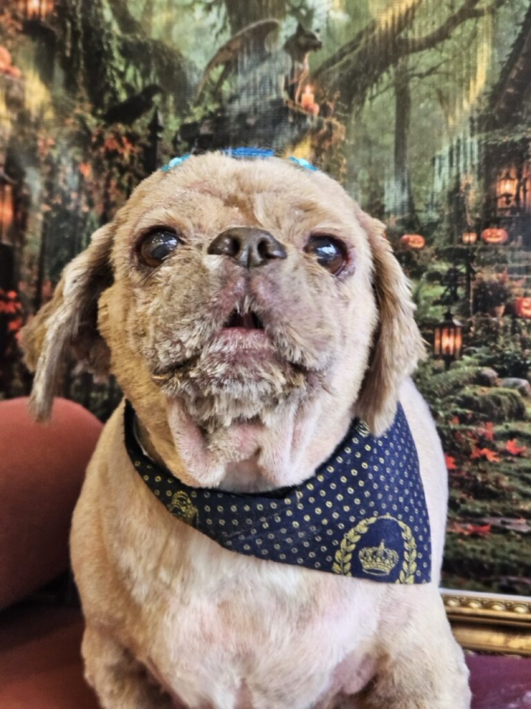 Foto de capa