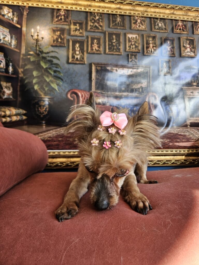 Foto de capa