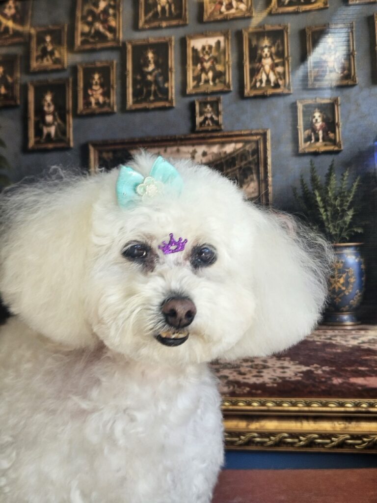 Foto de capa