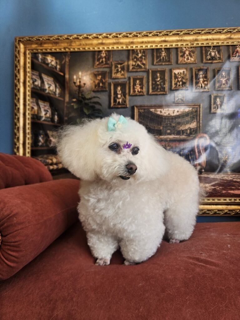 Foto de capa