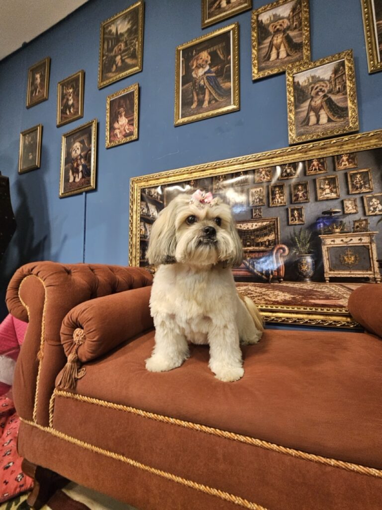 Foto de capa