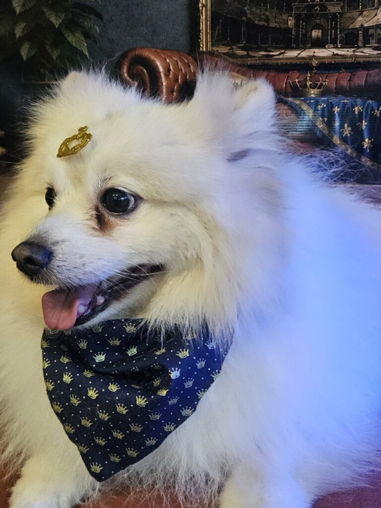 Foto de capa