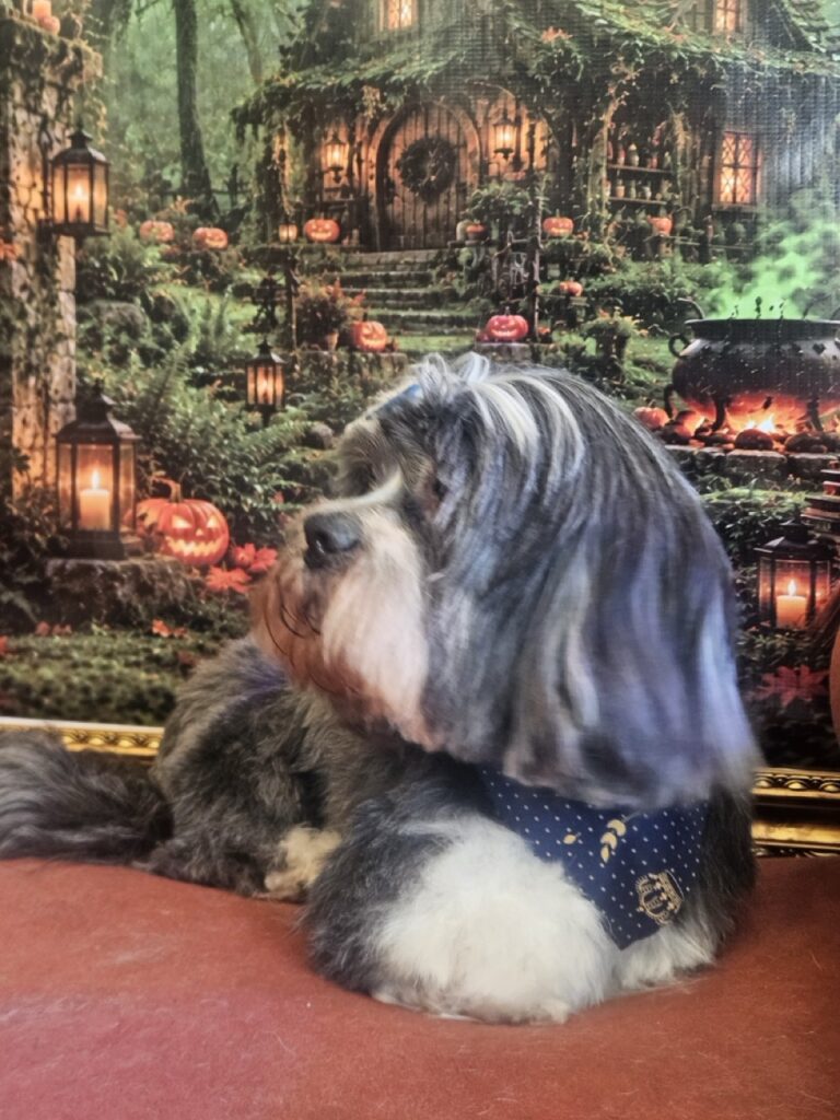 Foto de capa