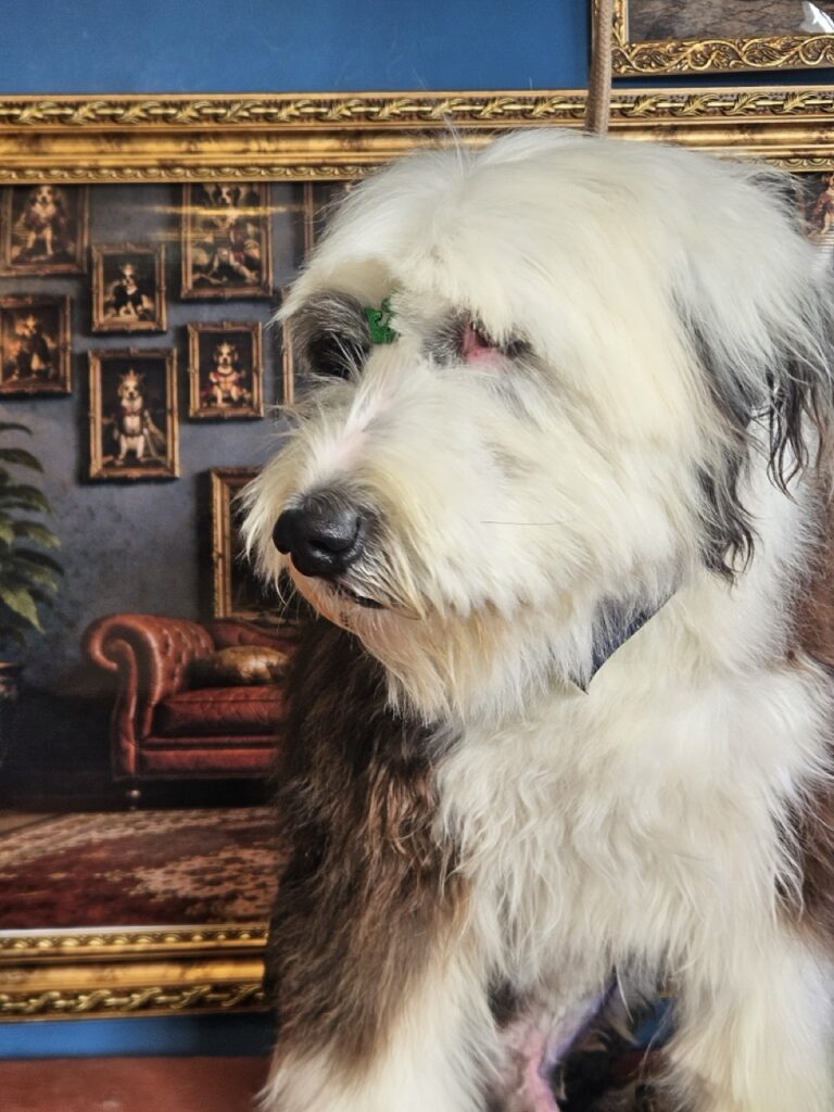 Foto de capa