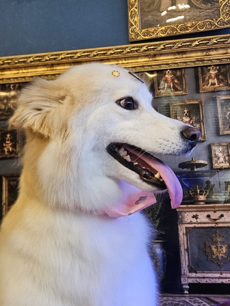 Foto de capa
