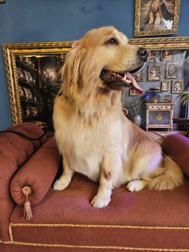 Foto de capa