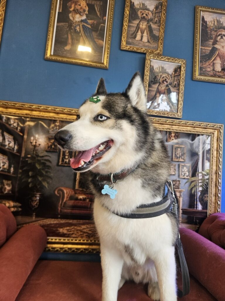 Foto de capa