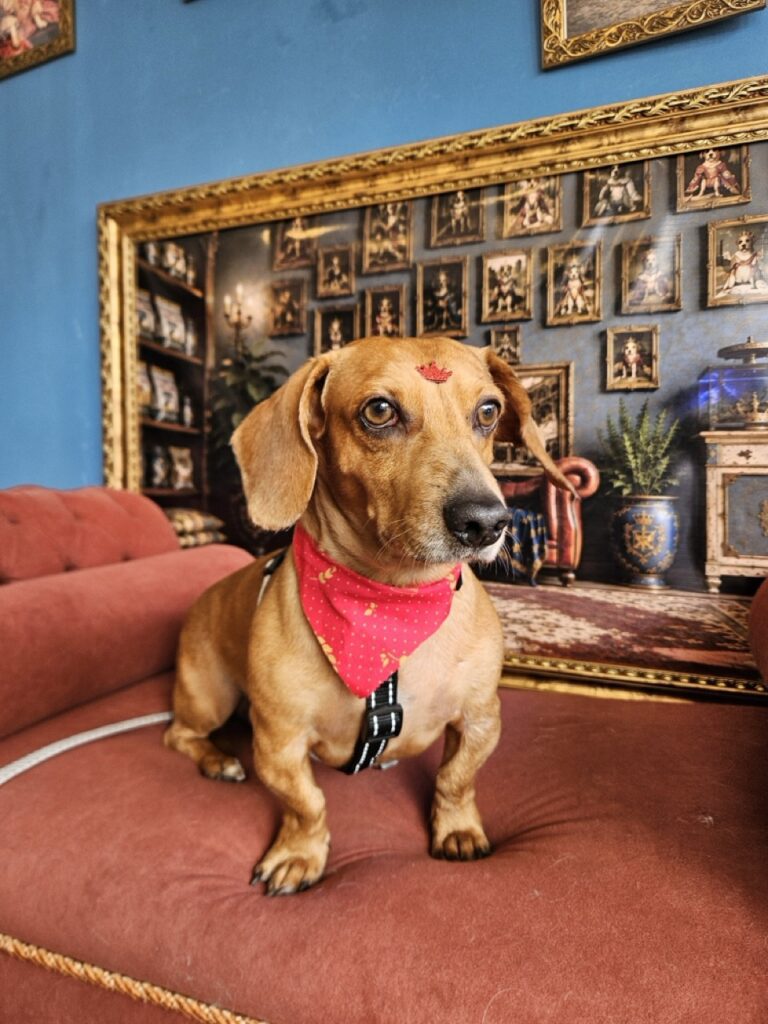 Foto de capa