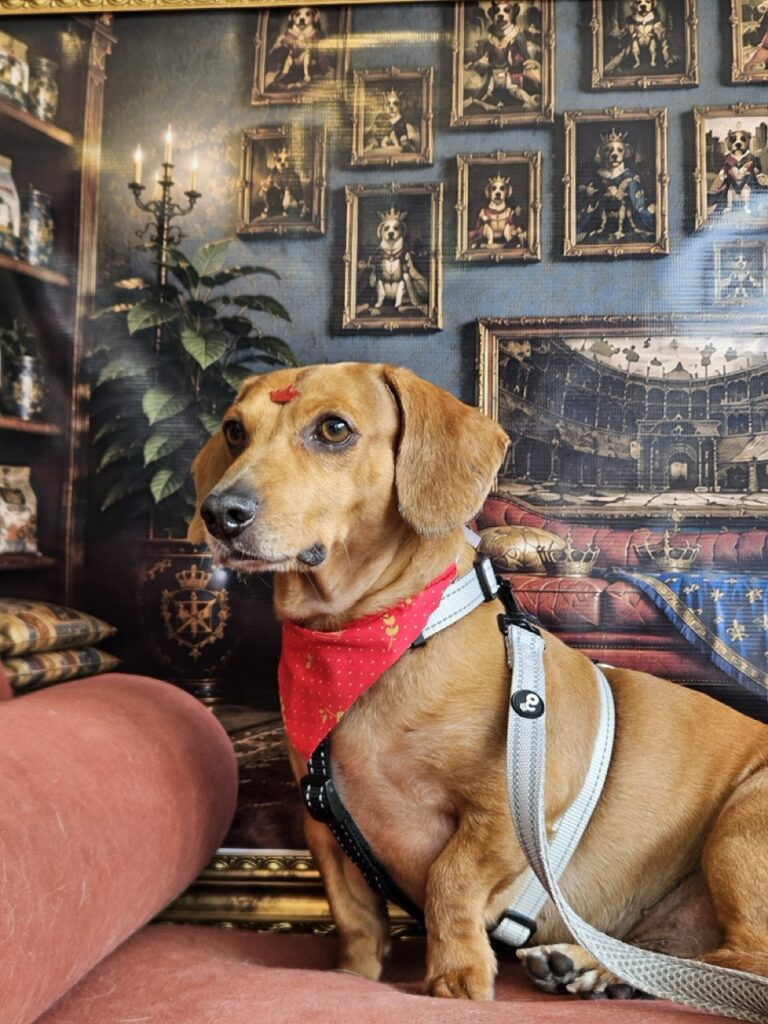Foto de capa
