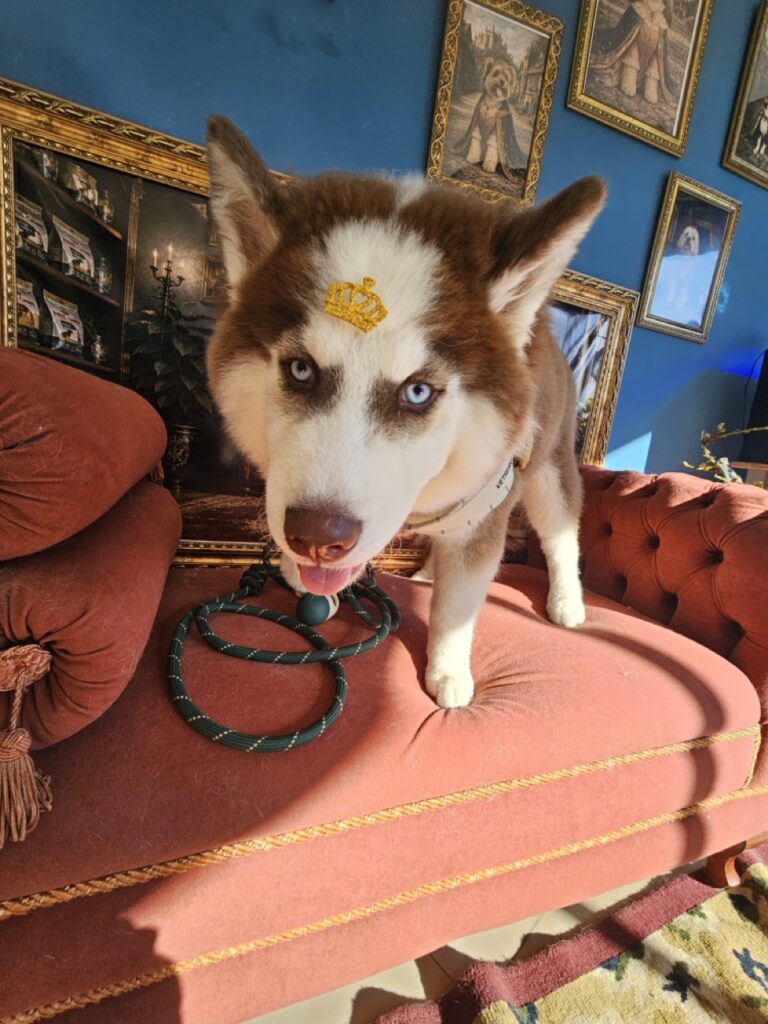 Foto de capa