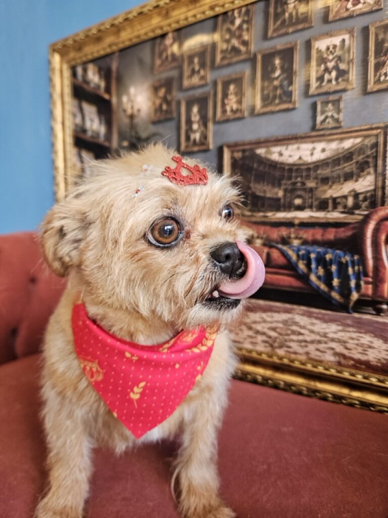 Foto de capa