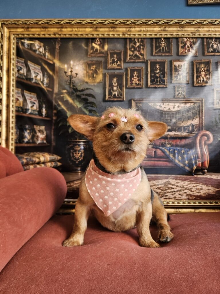 Foto de capa