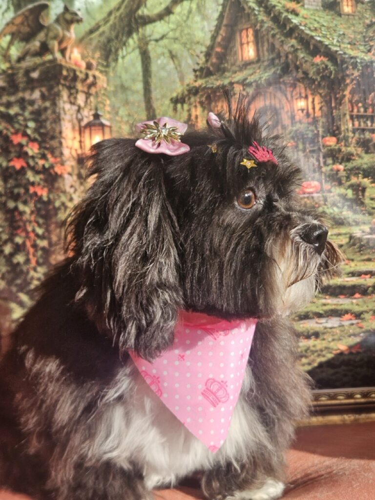 Foto de capa