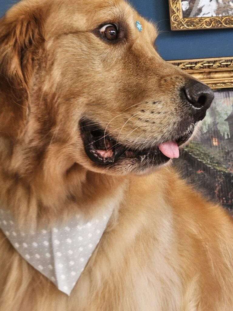 Foto de capa