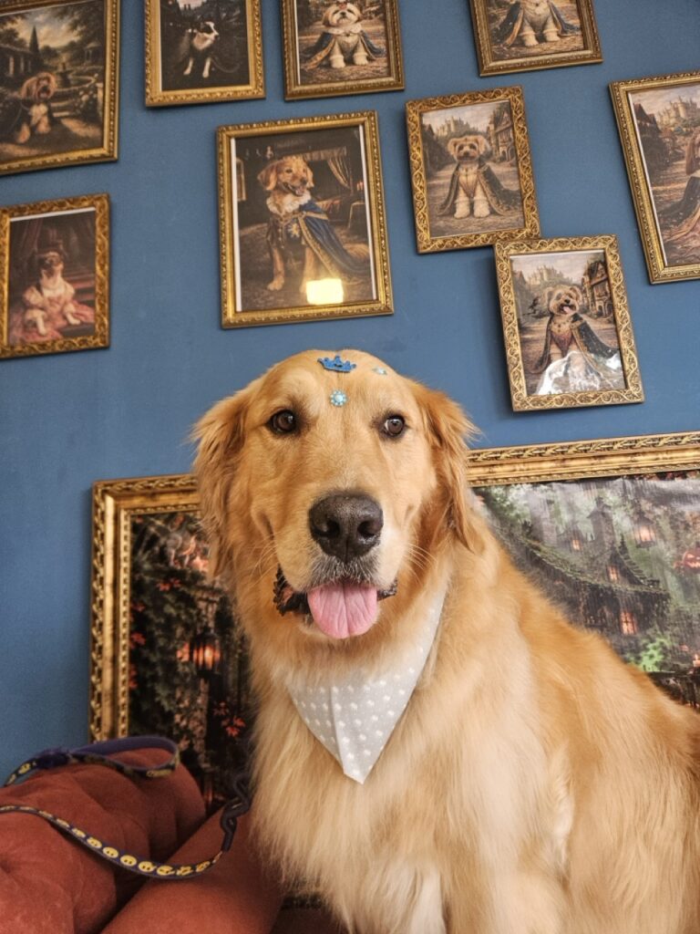 Foto de capa