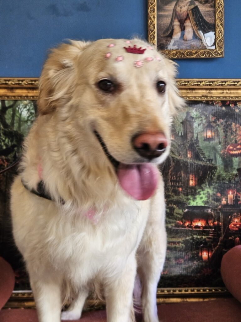 Foto de capa