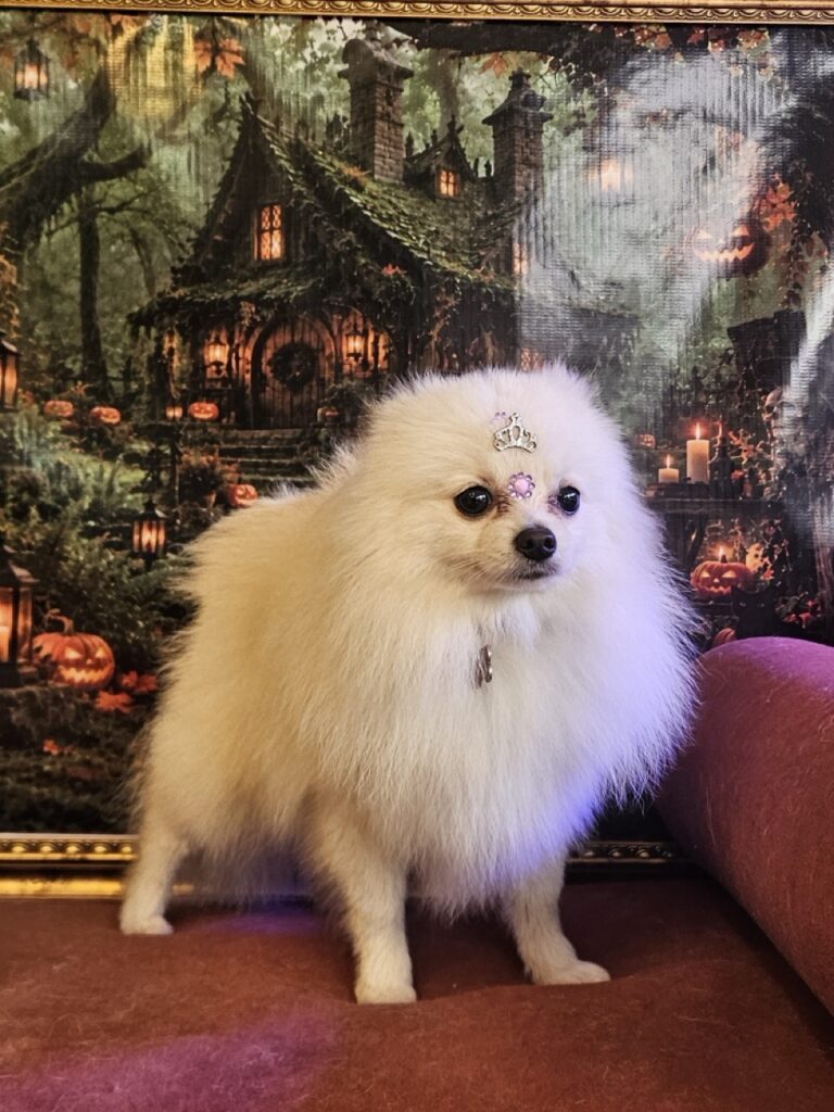 Foto de capa