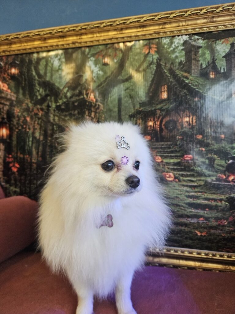 Foto de capa