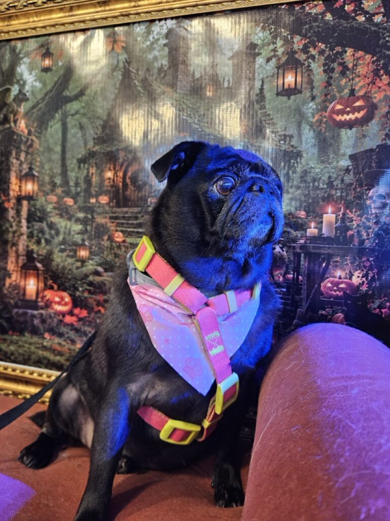 Foto de capa