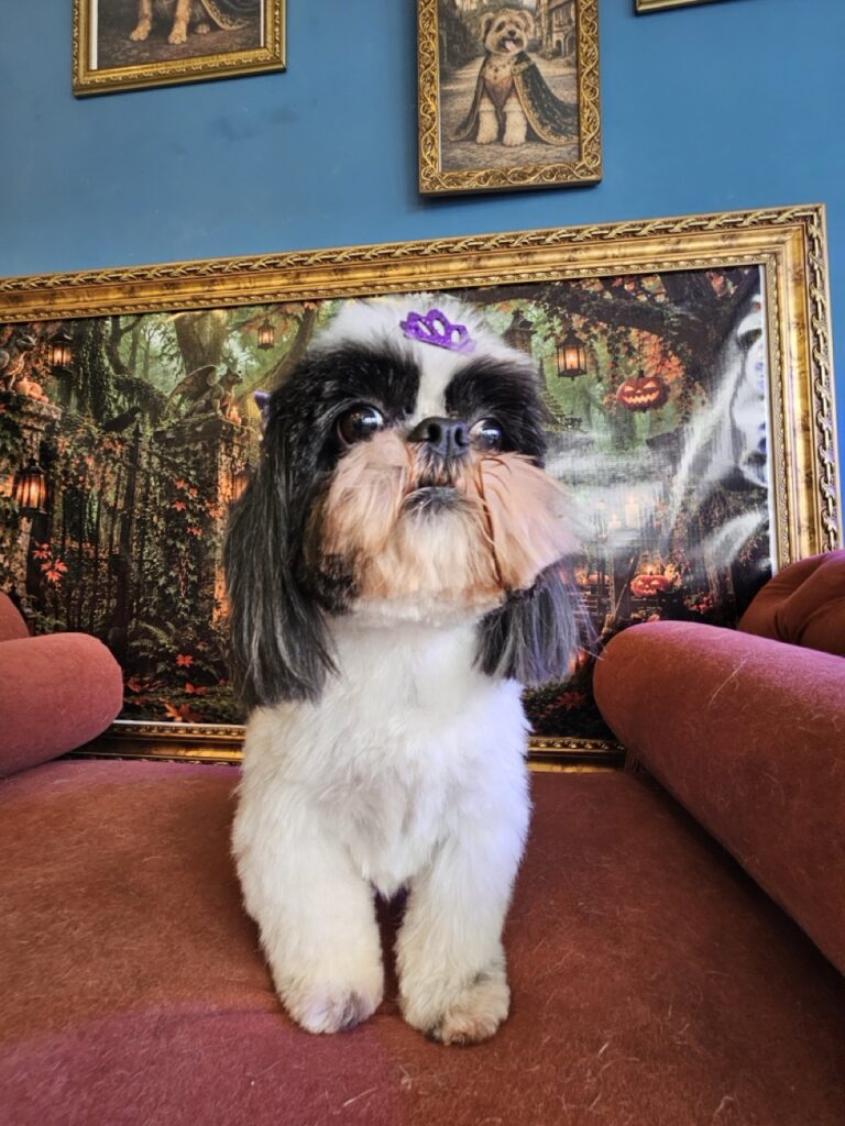 Foto de capa