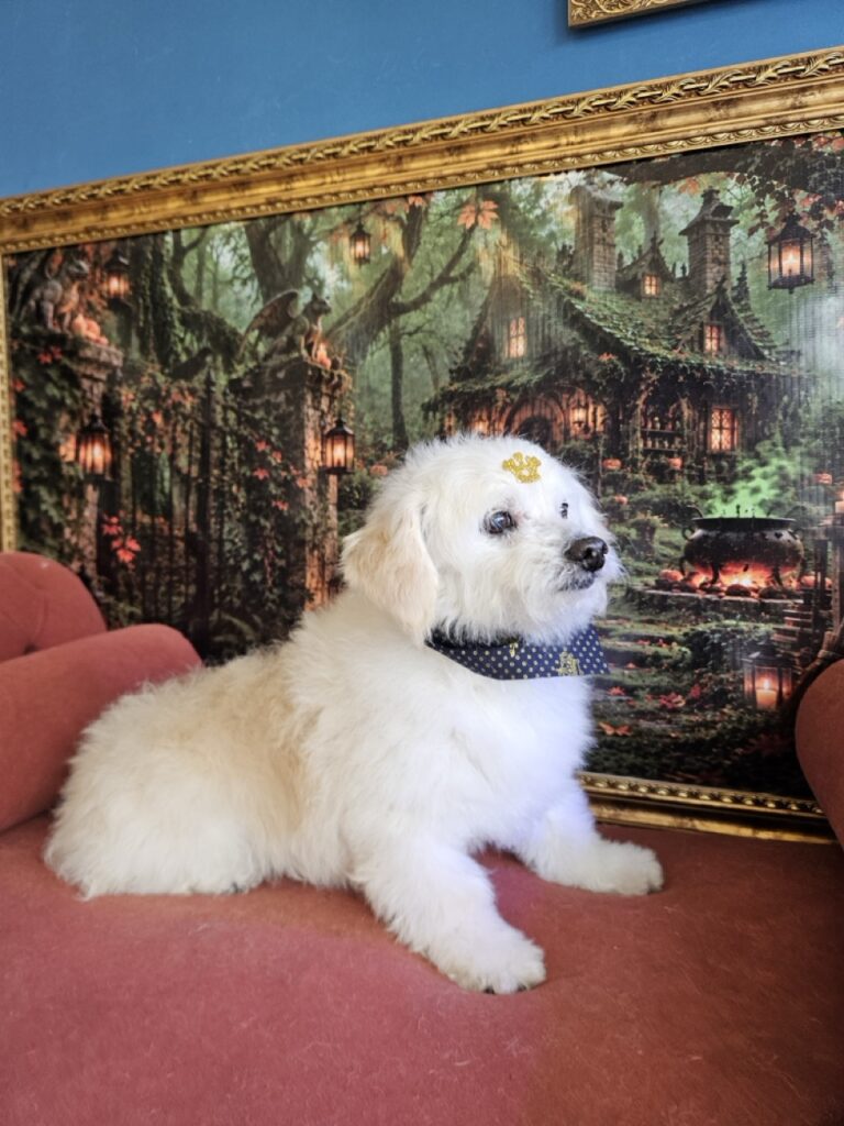 Foto de capa